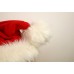 Santa Hat